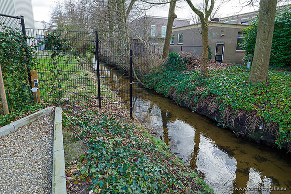 Heerder beek en Vosbeek 190220-015