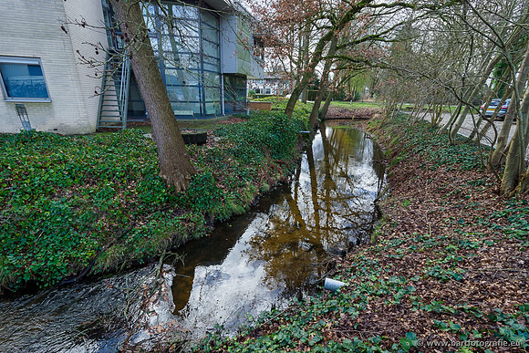 Heerder beek en Vosbeek 190220-016