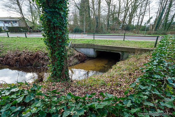 Heerder beek en Vosbeek 190220-017
