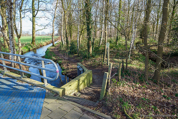 Heerder beek en Vosbeek 190220-020