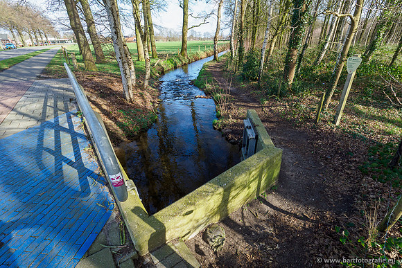 Heerder beek en Vosbeek 190220-021