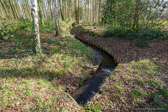 Heerder beek en Vosbeek 190220-022