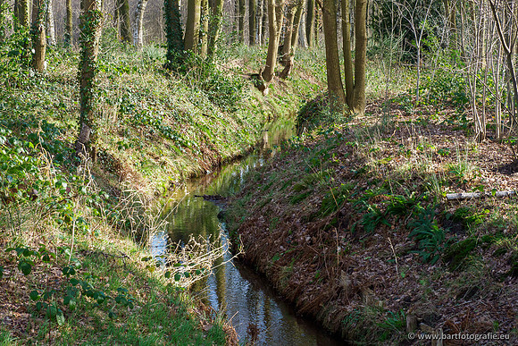 Heerder beek en Vosbeek 190220-023