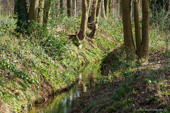 Heerder beek en Vosbeek 190220-024