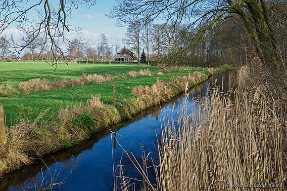 Heerder beek en Vosbeek 190220-029