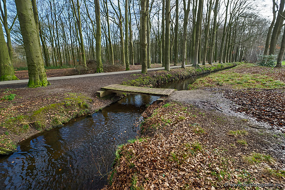 Heerder beek en Vosbeek 190220-031