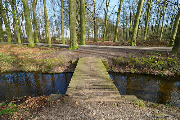 Heerder beek en Vosbeek 190220-032