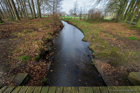 Heerder beek en Vosbeek 190220-033
