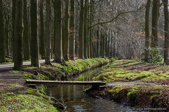 Heerder beek en Vosbeek 190220-034