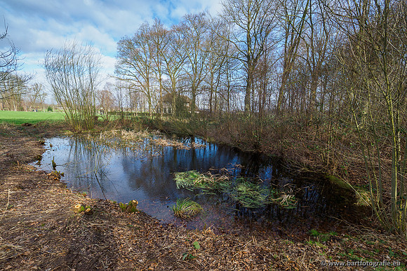 Heerder beek en Vosbeek 190220-037