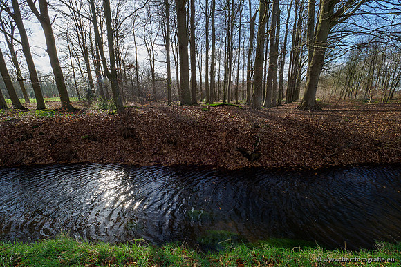 Heerder beek en Vosbeek 190220-039