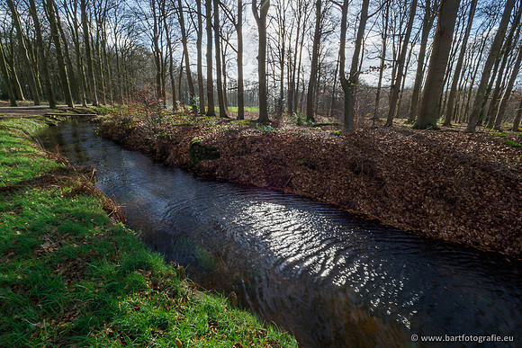 Heerder beek en Vosbeek 190220-040