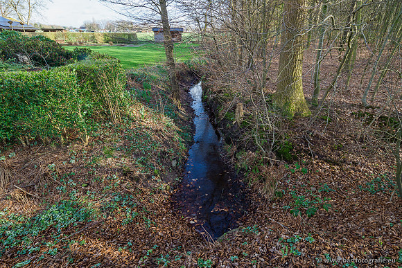 Heerder beek en Vosbeek 190220-045