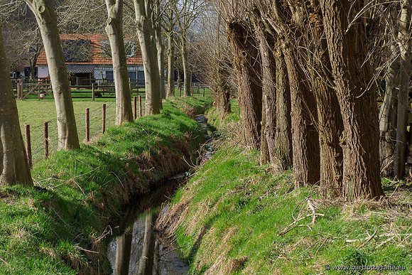 Heerder beek en Vosbeek 190220-051
