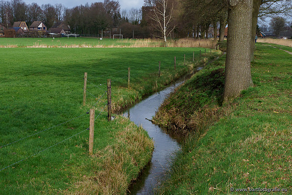 Heerder beek en Vosbeek 190220-063