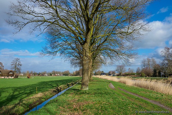 Heerder beek en Vosbeek 190220-064