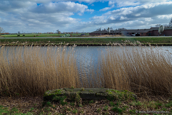 Heerder beek en Vosbeek 190220-067