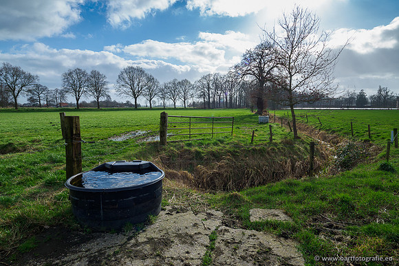 Heerder beek en Vosbeek 190220-072