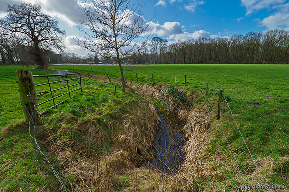 Heerder beek en Vosbeek 190220-073