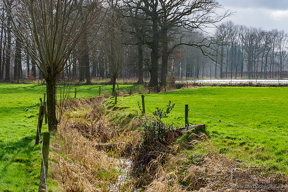 Heerder beek en Vosbeek 190220-076