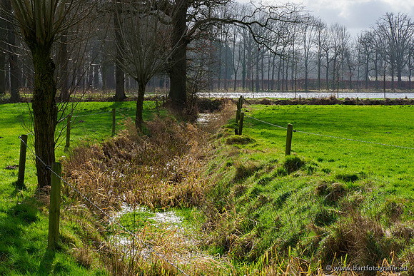 Heerder beek en Vosbeek 190220-077
