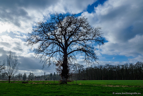 Heerder beek en Vosbeek 190220-079