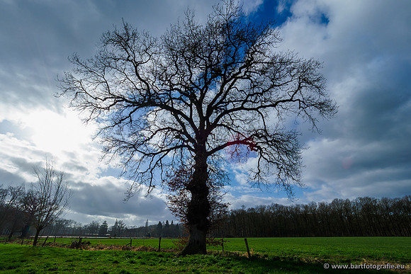 Heerder beek en Vosbeek 190220-080