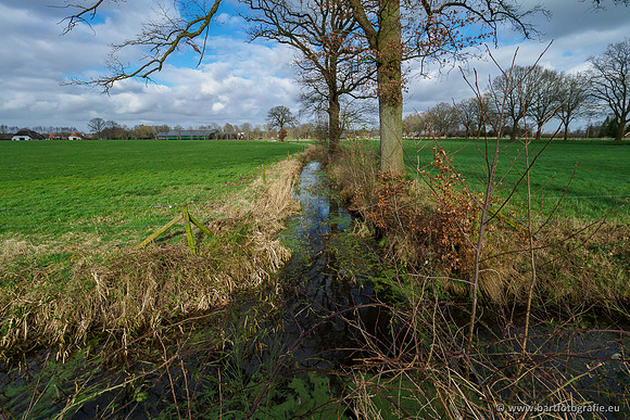 Heerder beek en Vosbeek 190220-082