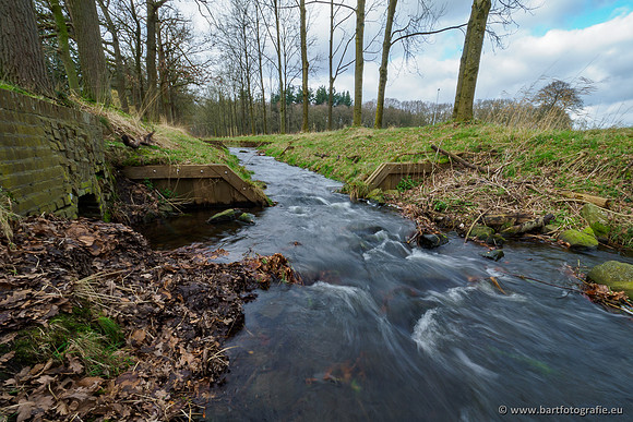 Heerder beek en Vosbeek 190220-102