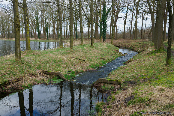 Heerder beek en Vosbeek 190220-104
