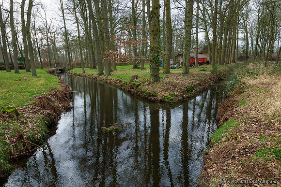 Heerder beek en Vosbeek 190220-113