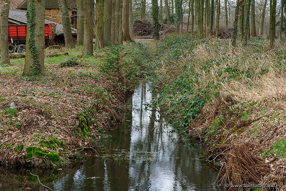 Heerder beek en Vosbeek 190220-114