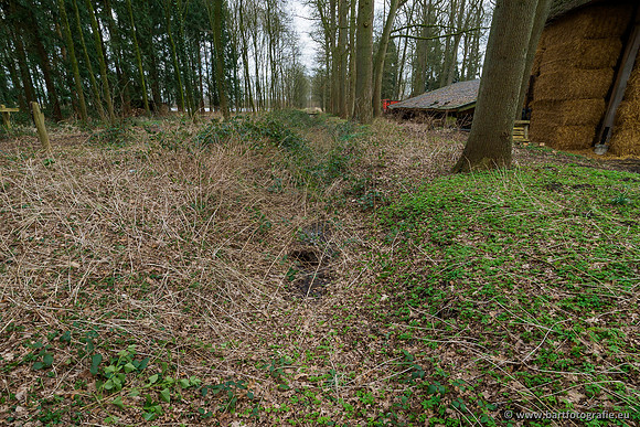 Heerder beek en Vosbeek 190220-116