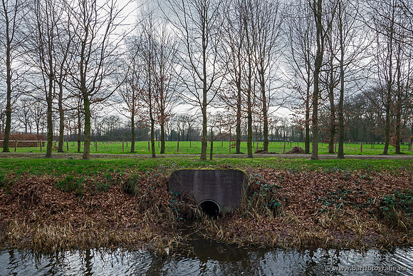 Heerder beek en Vosbeek 190220-125
