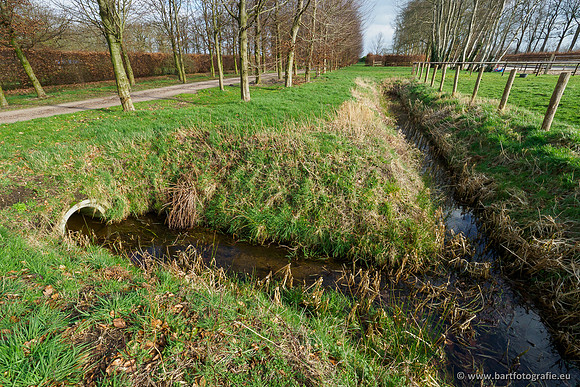 Heerder beek en Vosbeek 190220-131