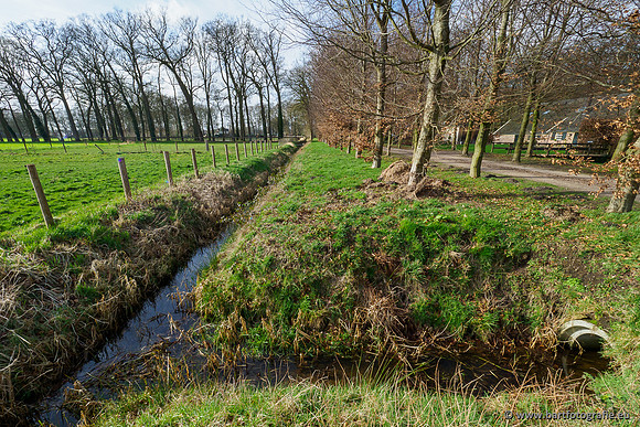 Heerder beek en Vosbeek 190220-132