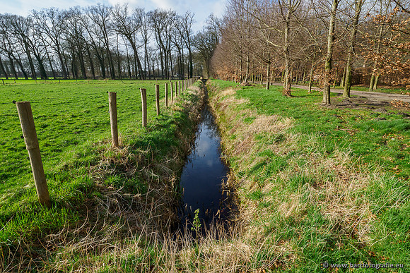 Heerder beek en Vosbeek 190220-133