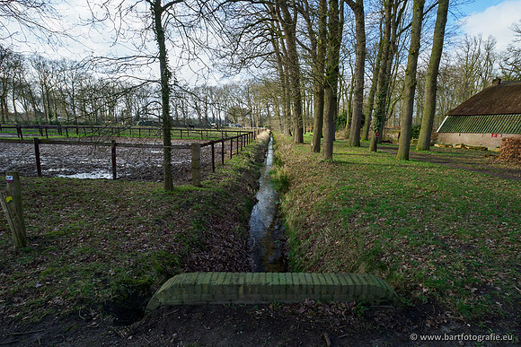 Heerder beek en Vosbeek 190220-135