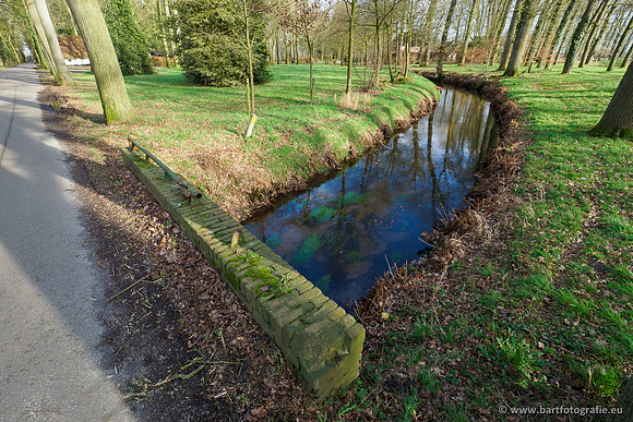 Heerder beek en Vosbeek 190220-137