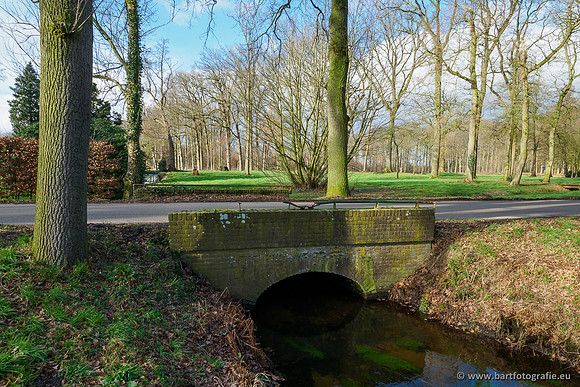 Heerder beek en Vosbeek 190220-139