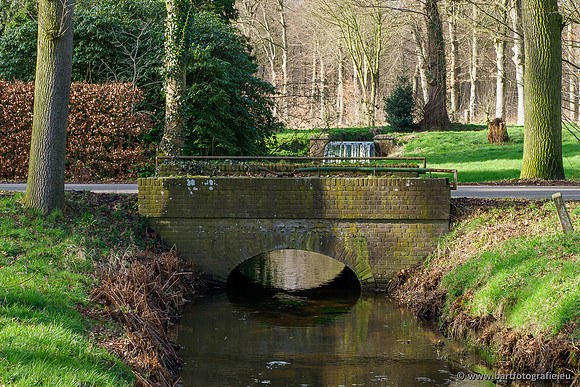 Heerder beek en Vosbeek 190220-140