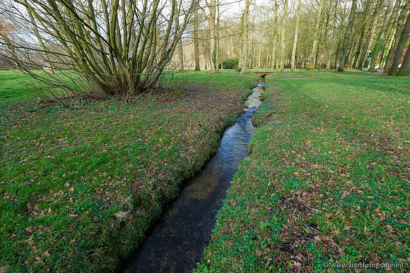 Heerder beek en Vosbeek 190220-145