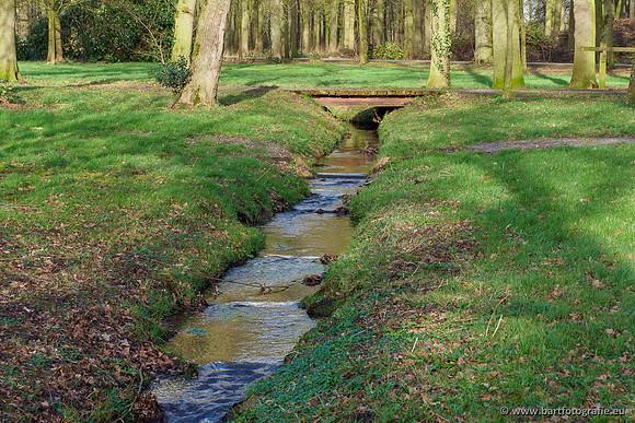 Heerder beek en Vosbeek 190220-146