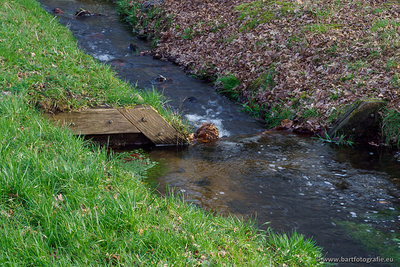 Heerder beek en Vosbeek 190220-147