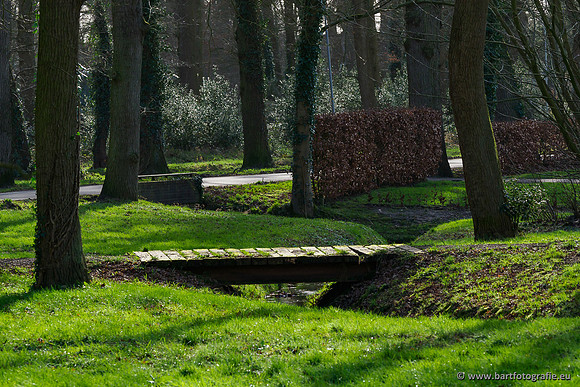 Heerder beek en Vosbeek 190220-150