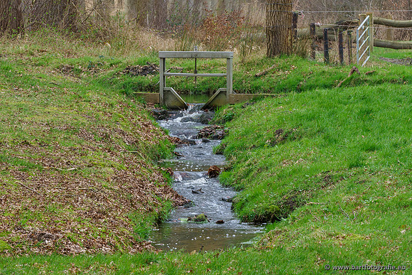 Heerder beek en Vosbeek 190220-159