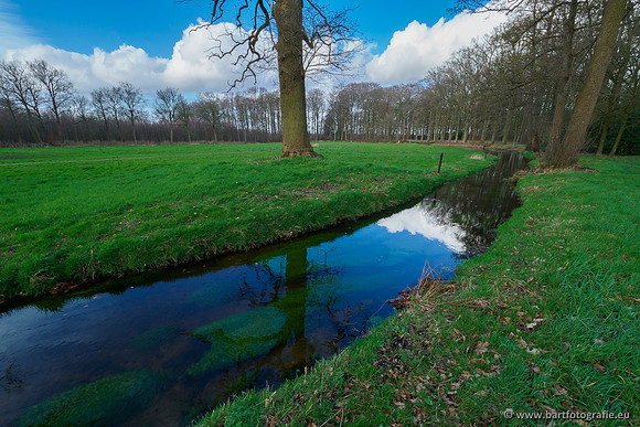 Heerder beek en Vosbeek 190220-162