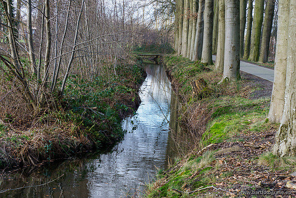 Heerder beek en Vosbeek 190220-165