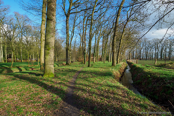 Heerder beek en Vosbeek 190220-167