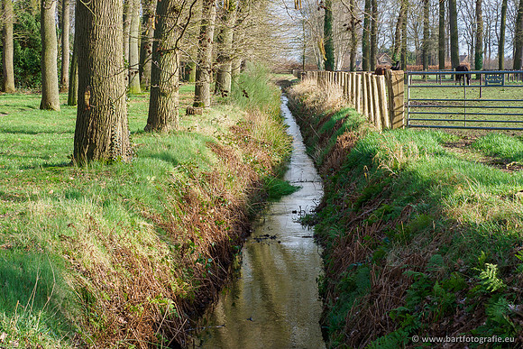 Heerder beek en Vosbeek 190220-168